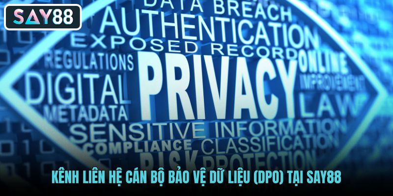 kenh-lien-he-can-bo-bao-ve-du-lieu-dpo-tai-say88