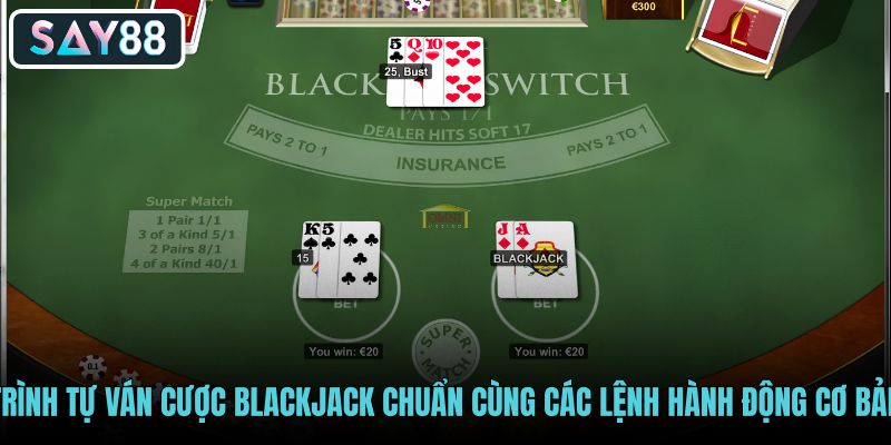 trinh-tu-van-cuoc-blackjack-chuan-cung-cac-lenh-hanh-dong-co-ban trinh-tu-van-cuoc-blackjack-chuan-cung-cac-lenh-hanh-dong-co-ban